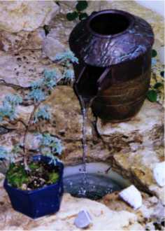 Fountain (bonsai)
